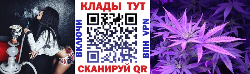 Купить закладку ГАШ  Бошки Шишки  COCAIN  Метамфетамин  Мефедрон  Калининград