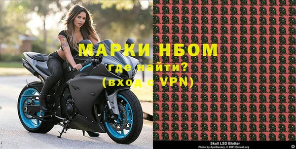 ГАЛЛЮЦИНОГЕННЫЕ ГРИБЫ Каменка